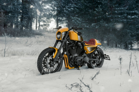 License Plate Bracket V-Rod, Dyna, Sportster